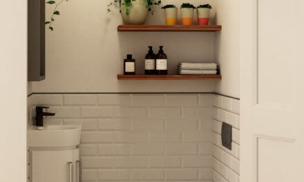 The ‘appeal of wall-hung toilets’