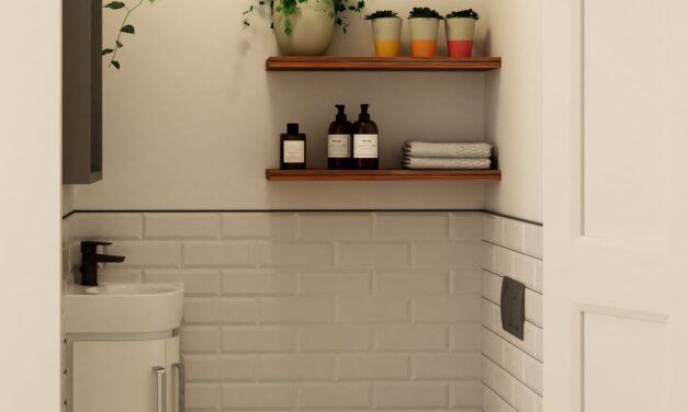 The ‘appeal of wall-hung toilets’