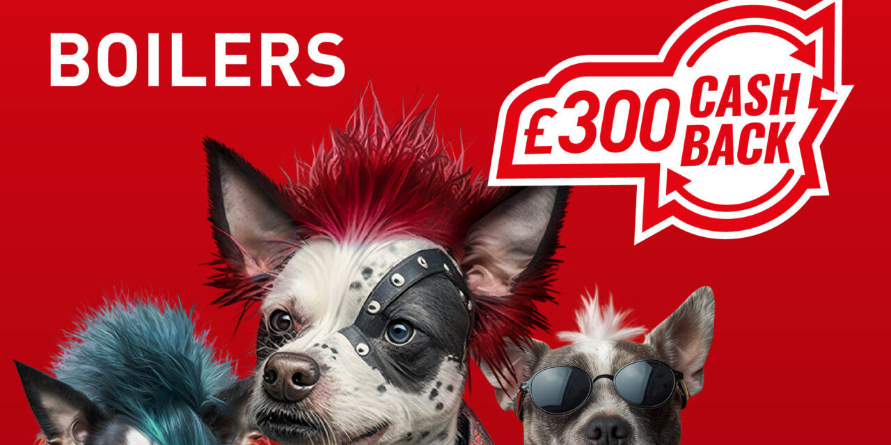 Alpha launches winter rewards programme