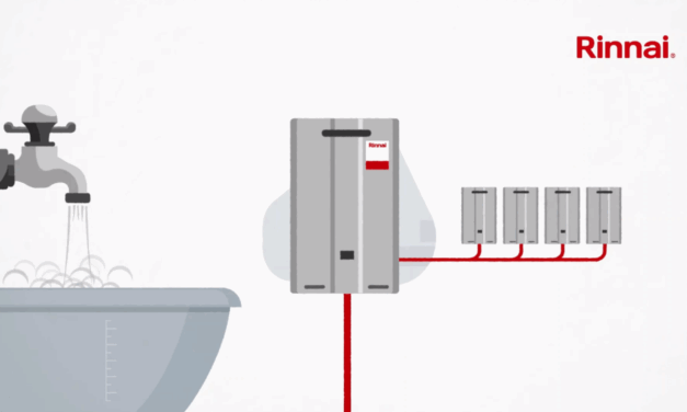 WHAT IS THE FUTURE FOR NATURAL GAS, LPG & BIOLPG IN THE UK ENERGY MARKET?